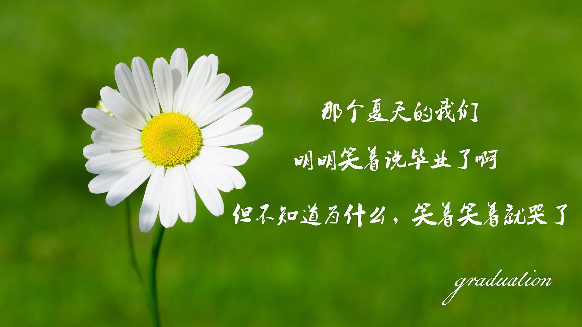 “法甲豪门厮杀激烈，争夺冠军位置拉开差距”，法甲 豪门