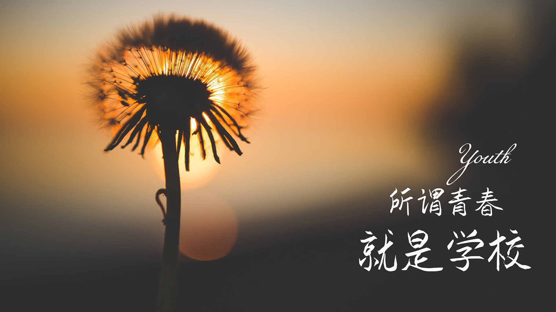 德甲：“黑马”崛起，颠覆传统强队格局，德甲榜首大战