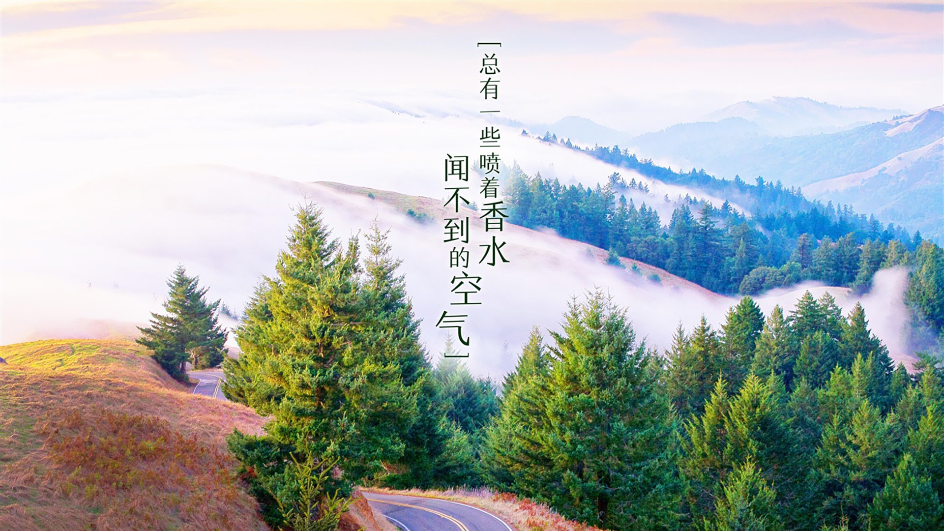 AC米兰再遇困境，备战重要比赛，ac米兰v