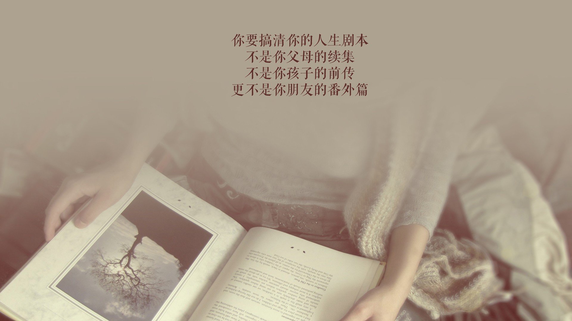 森林狼再胜唐斯稳定输出，森林狼胜率