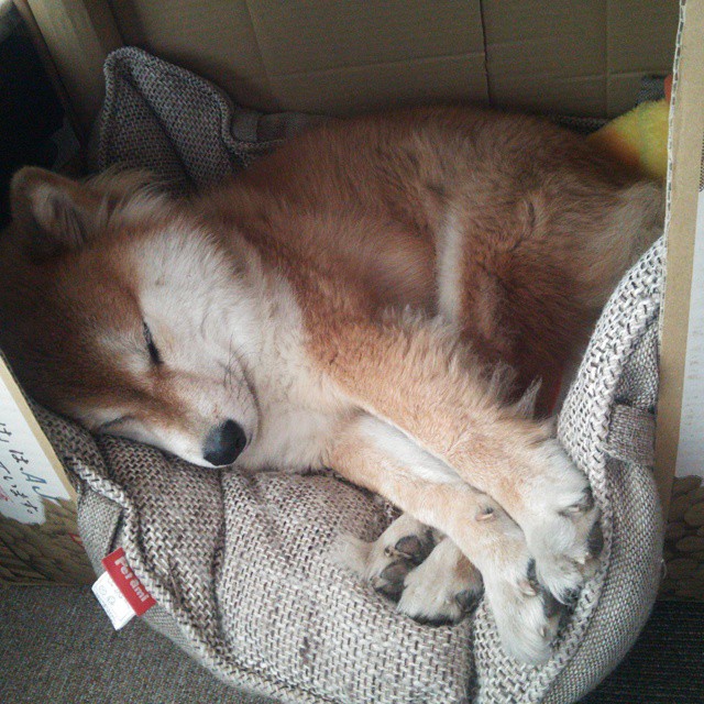 卡利亚里后防问题突出，防线稳固性受质疑，卡利亚里这个牌子质量如何