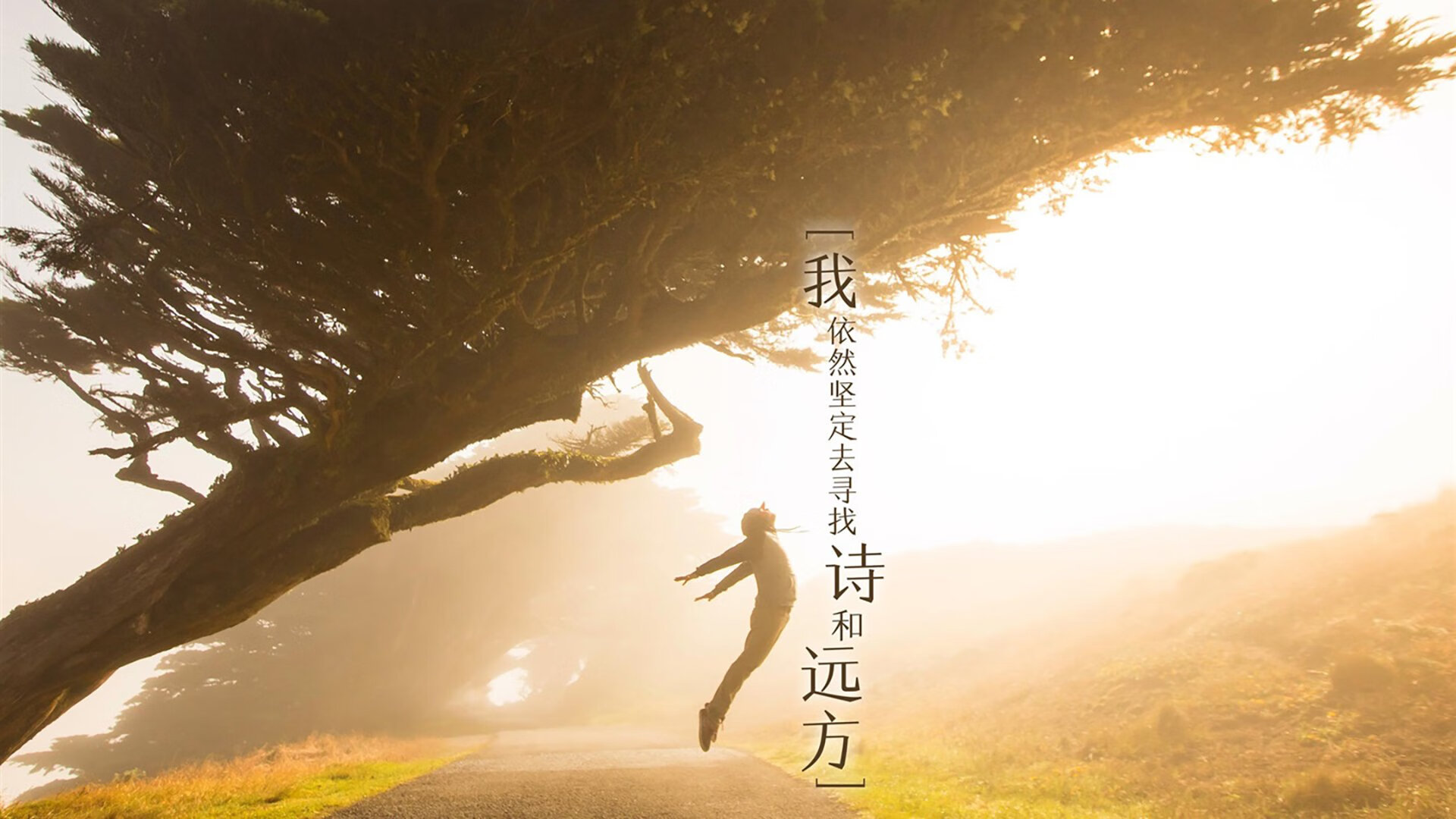 校园体育场馆智能管理应用，校园体育场馆智能管理应用有哪些