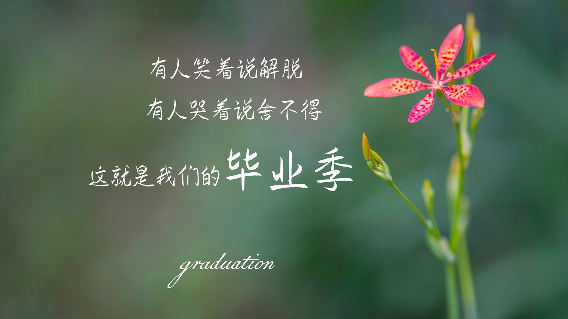200蛙划频与冲刺节奏关系解析