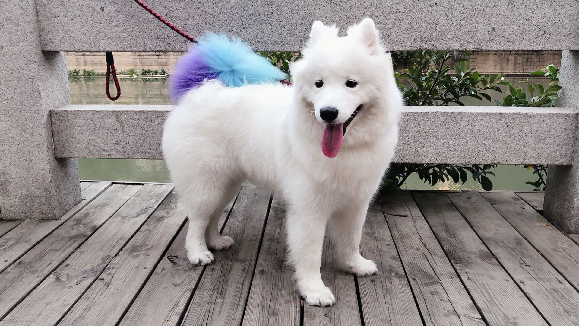 “2025滑轮大赛：新兴力量挑战极限，成都赛场风起云涌”