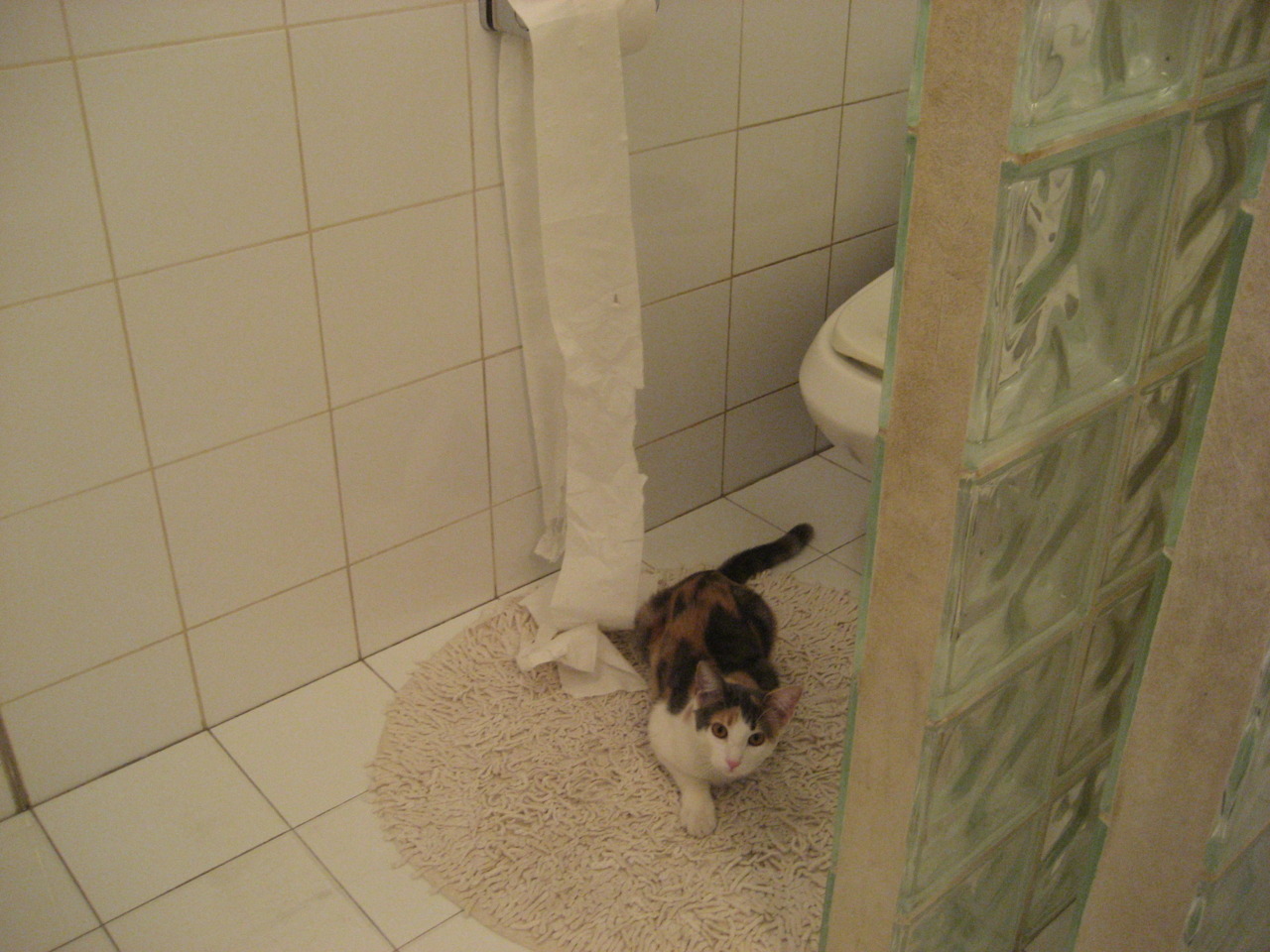 美洲杯的比赛战术分析报告，美洲杯总结