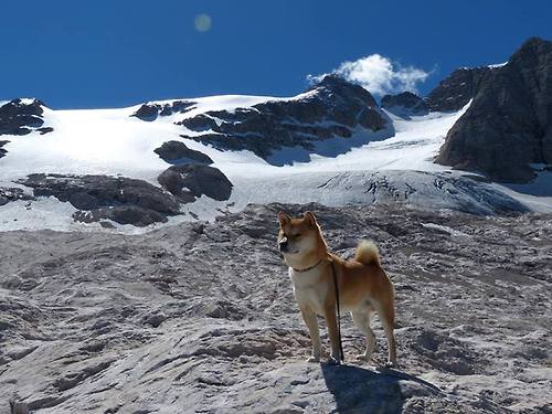 中国足球技术改革面临瓶颈，中国足球如何改革