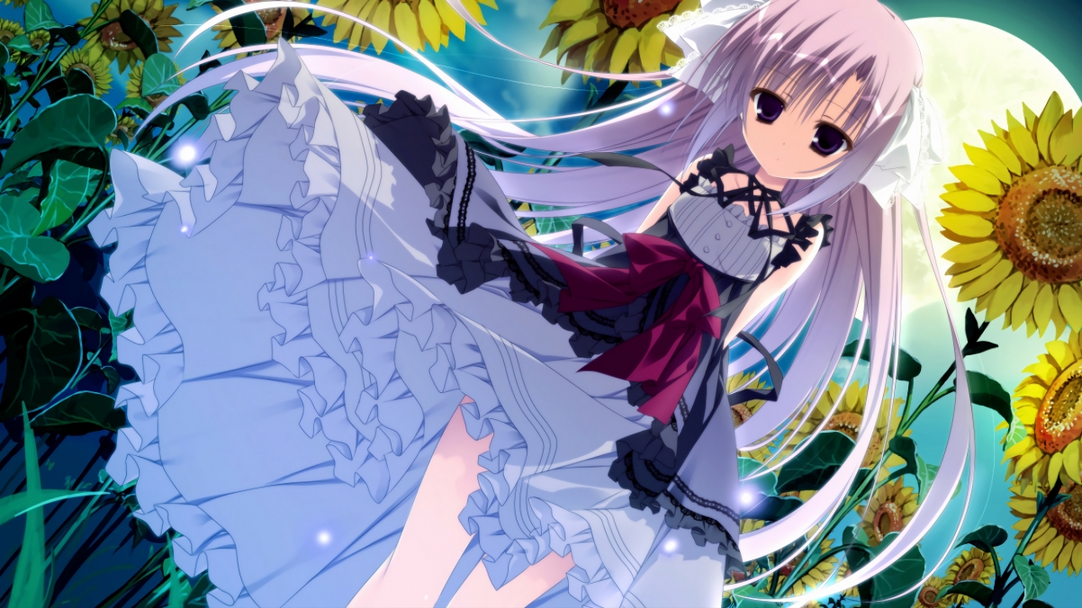 青少年足球数字训练系统助力个性化成长，训练效果显著提升，青少年足球训练app