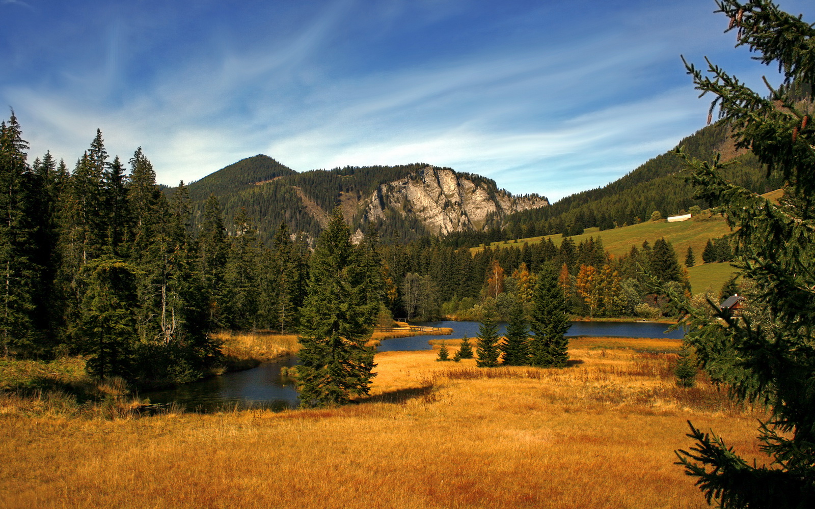 亚洲杯国足爆冷 数据分析揭示背后真相，亚洲杯国足出线