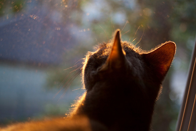 爱游戏中国官方登录入口网站-俱乐部技术总监职能未完全发挥，俱乐部总经理是干嘛的