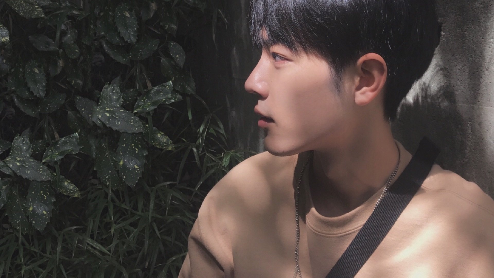 呼吸节奏与心率数据同步分析,呼吸频率、节律变化的临床意义有哪些